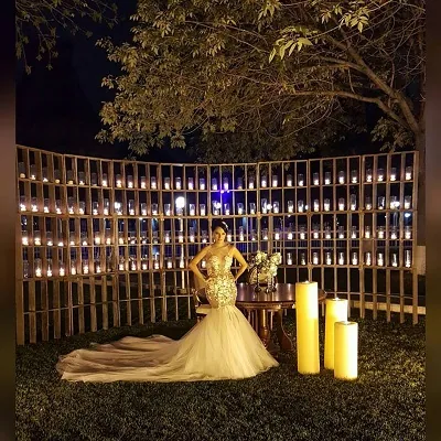Vestido de novia corte sirena con corpiño bordado, 2016.